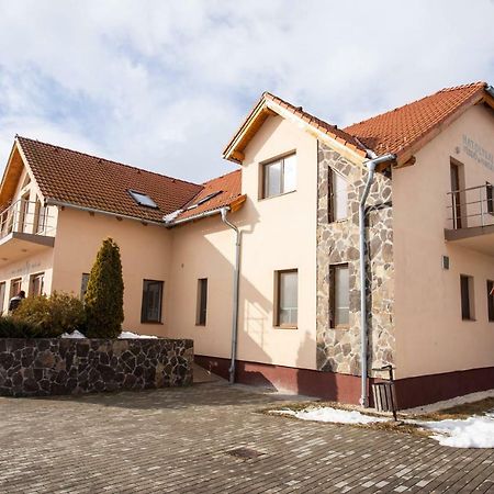 Camere De Inchiriat Hatuica Экстерьер фото